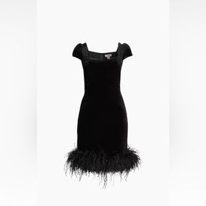 Rachel Parcell Short sleeved velvet minidress